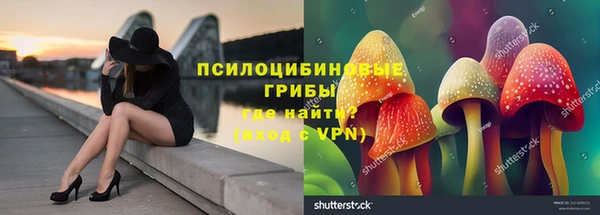 a pvp Армянск