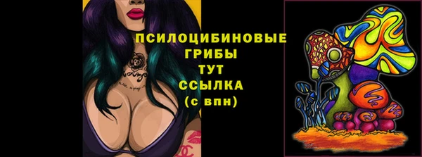 тгк Арсеньев