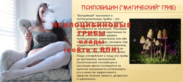 a pvp Армянск