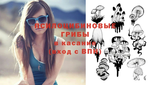 a pvp Армянск