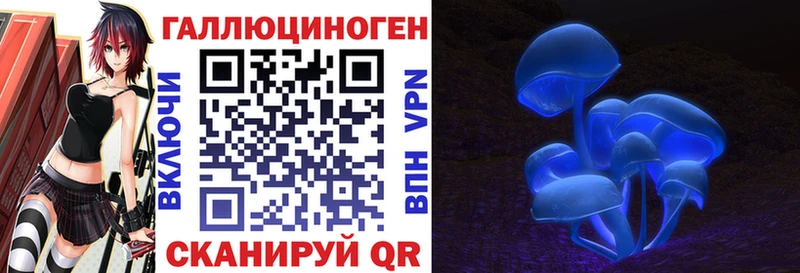Галлюциногенные грибы Cubensis  Усинск 